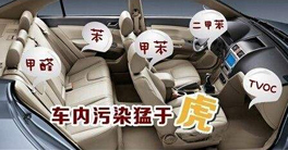 车内甲醛正常值以及车内放什么东西可以除甲醛？