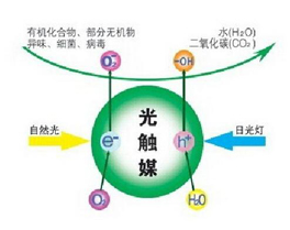 光触媒除甲醛有什么优势和特点呢