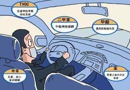 车内异味隐忧大 及早解决保健康