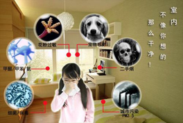 新风系统和空气净化器，到底哪个好？