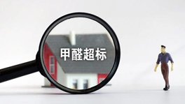 宠物们也会甲醛中毒？快看这些甲醛超标特征你家有没有？