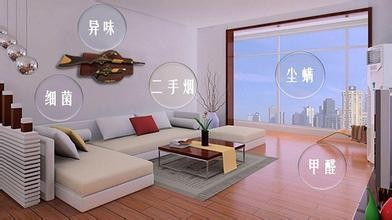 这些室内除甲醛方法是误区, 无效不说还会危害室内环境