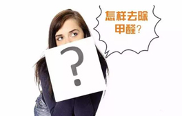 几种室内除甲醛的方法？