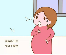 对准妈妈来说室内空气质量也是考虑的一部分
