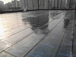 屋面漏水常见问题防水维修方法